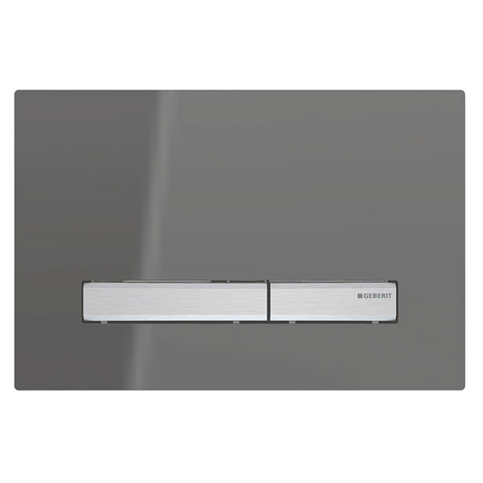 Geberit Sigma50 Dual Flush Button & Access Plate - Smoked Glass/Chrome