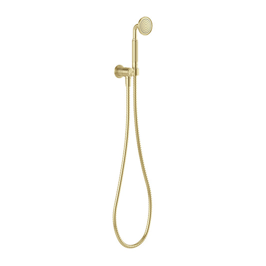 Phoenix Wiltern Hand Shower, Brushed Gold