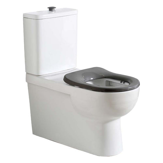 Argent Plus Persons With Disabilities Back To Wall Toilet White