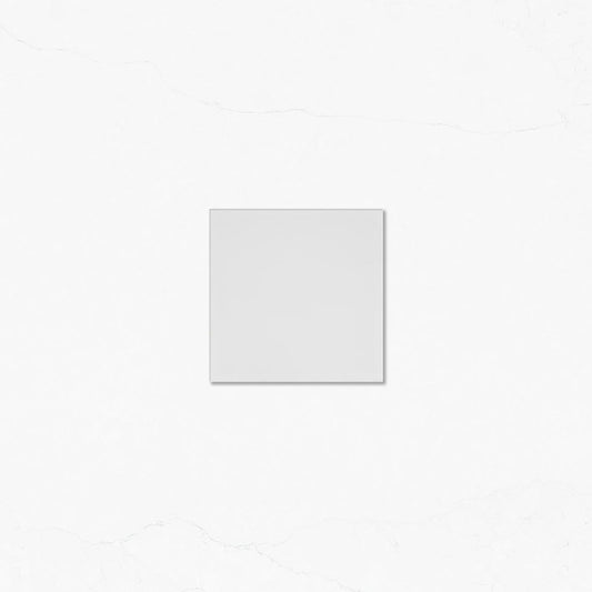 Seattle Square White Matte 100x100 Tile