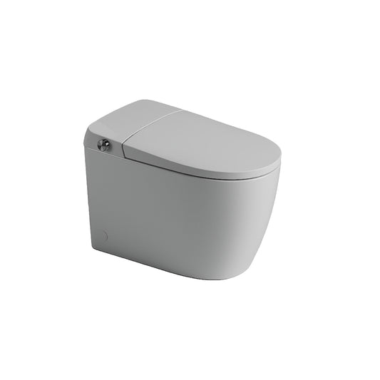 St George Brighton Smart Comfort Plus Toilet