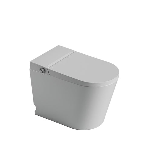 St George Coogee Premium Smart Performance Toilet