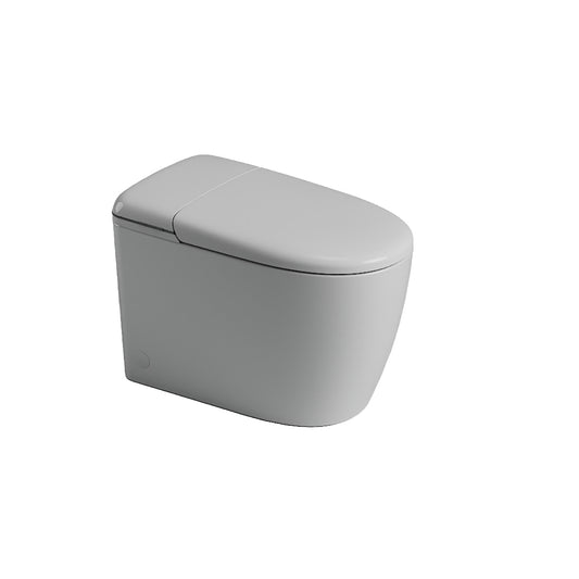 St George Mosman Flagship Intelligent Luxury Toilet