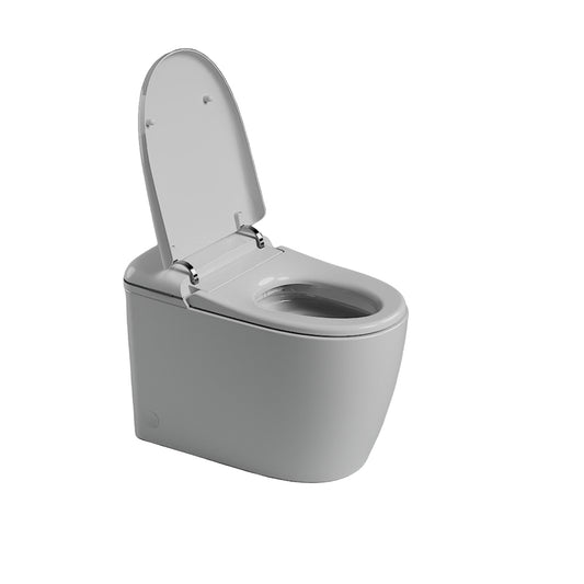 St George Mosman Flagship Intelligent Luxury Toilet