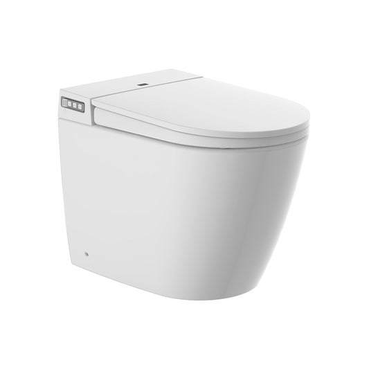 Argent Evo Wall Faced Vismart Toilet System Package